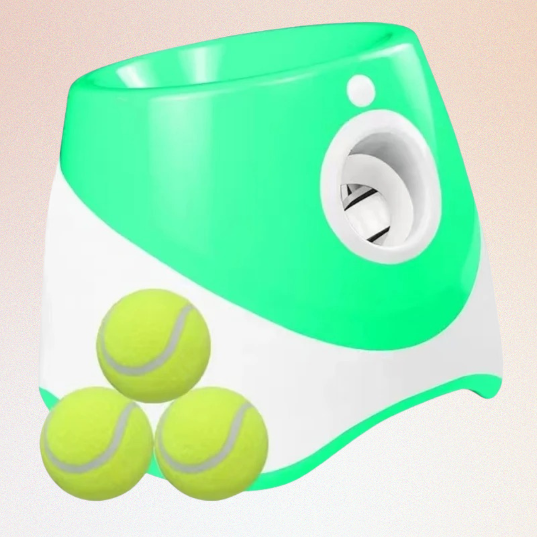 FetchBuddy Pro|Le lanceur de balle automatique