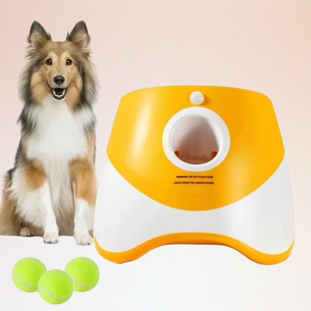 FetchBuddy Pro|Le lanceur de balle automatique